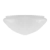 Ampelglas (f300/Vit)