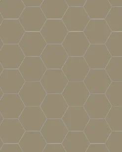 Klinker - Hexagon 10 x 10 cm mullvadsgrå