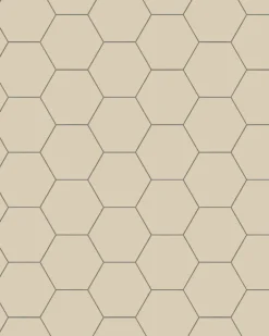 Klinker - Hexagon 10 x 10 cm ontario