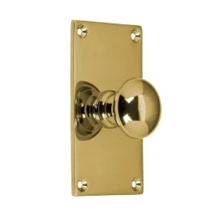 Knopp Sekelskifte med bottenplatta - Mässing 40 x 70 mm