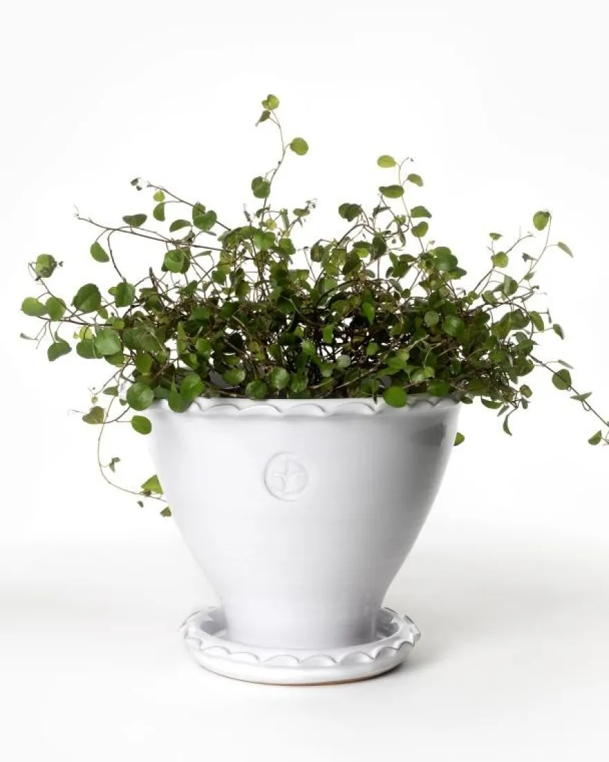 Kruka Sturehof - Adelcrantz, 17 cm vit