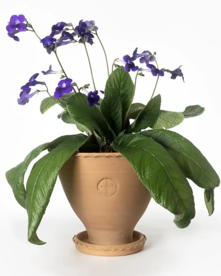 Kruka Sturehof - Adelcrantz 24 cm