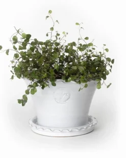 Kruka Sturehof - Liljencrantz, 20 cm vit