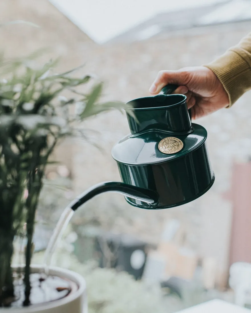 Vattenkanna inomhus - Grön 0,5 L