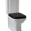WC - Art Deco golvstående toalett med spolknapp & sits - Brons
