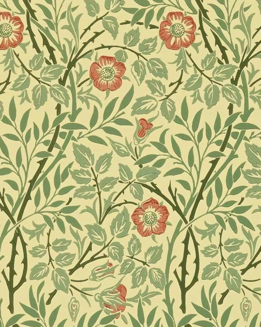 William Morris & Co. Tapet - Sweet Briar Green/Blue/Rose